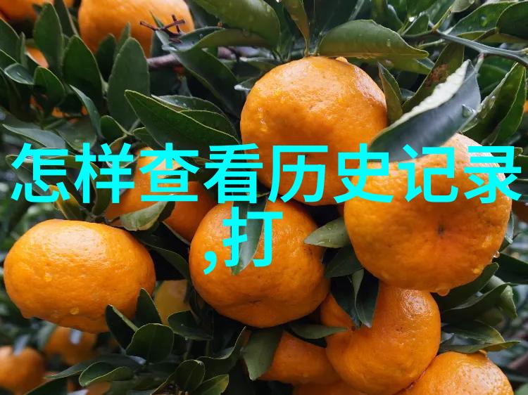 自主探索如何在自由建造家园中发现隐藏秘密