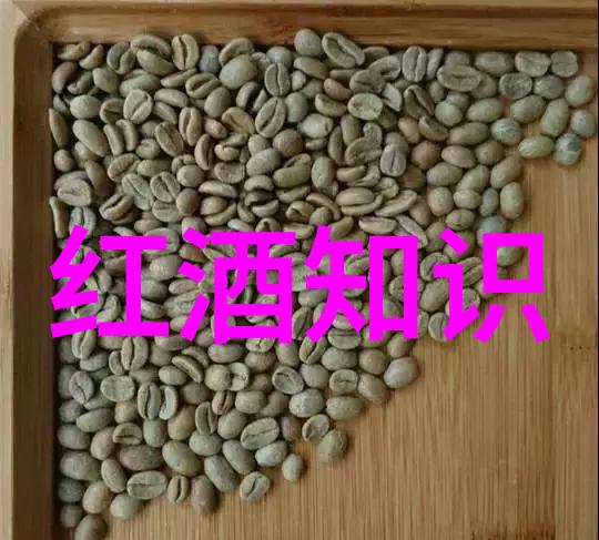 下载爱收藏如何在数字时代保护珍贵记忆