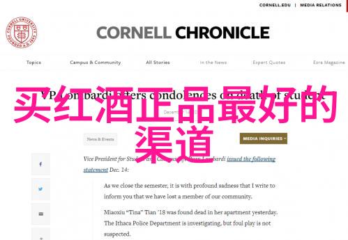 人物的名词解释怎么答深度剖析角色命名背后的文化与语言逻辑
