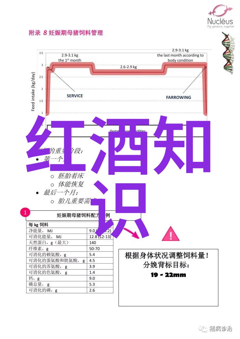 猫的品种多样化探索各种颜色和特征的猫咪