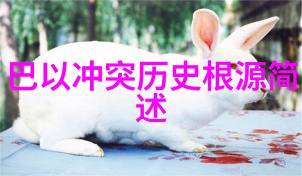 农庄生活创意小屋与自然融合的休闲天堂