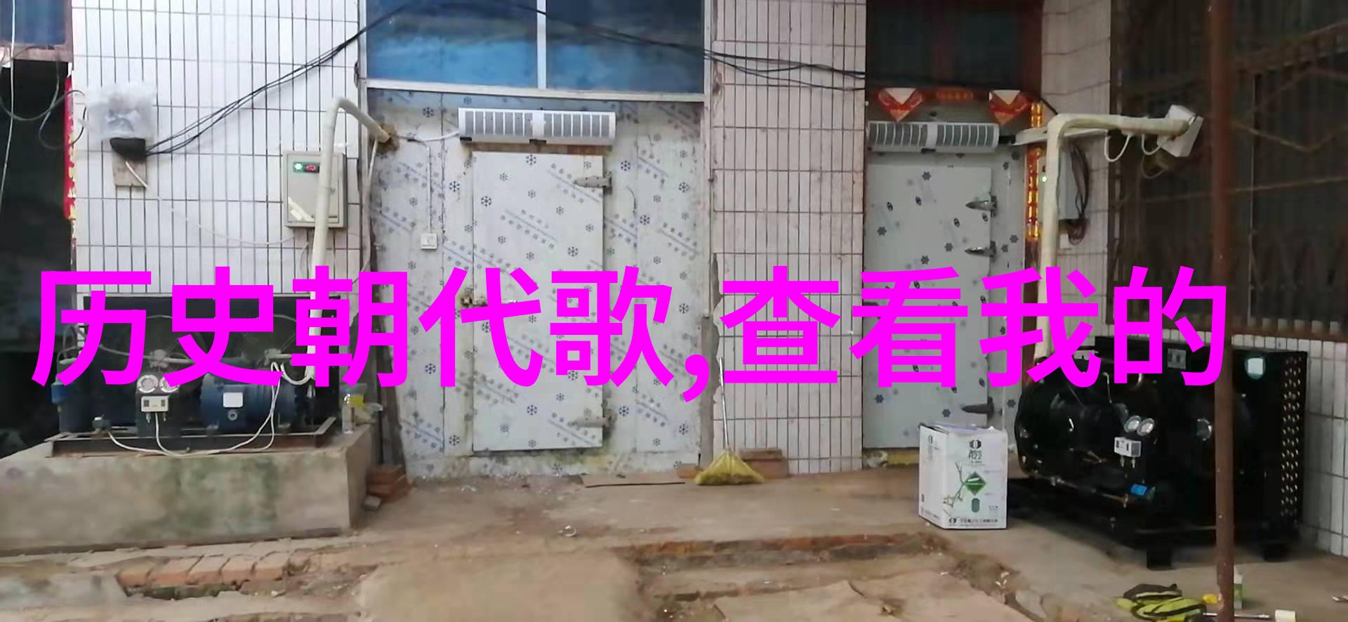 金黄色耕地的守护者玉米品种的多姿多彩