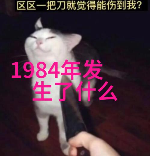 猫咪的品种及价钱我来告诉你些猫咪种类及其价格吧