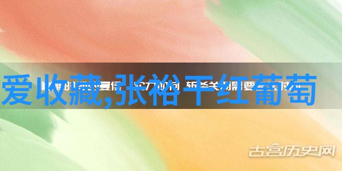 小吃与葡萄酒的奇妙搭配周边自驾游中的社交盛宴