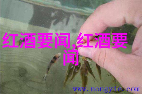 中国最好的葡萄酒源自吉布利特砾石区的醇厚与Gimblett Gravels所赋予的独特风味