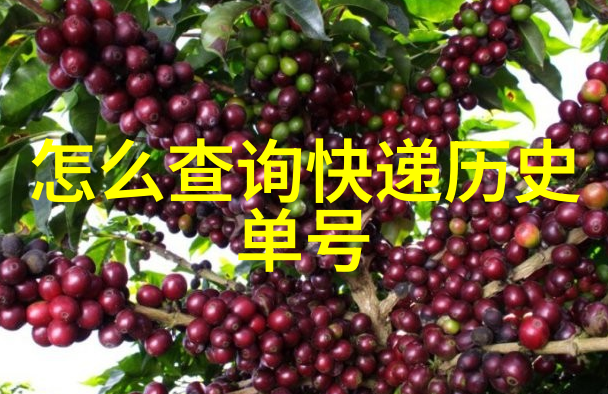 红酒文化优美句子醉美葡萄园里的红酒故事