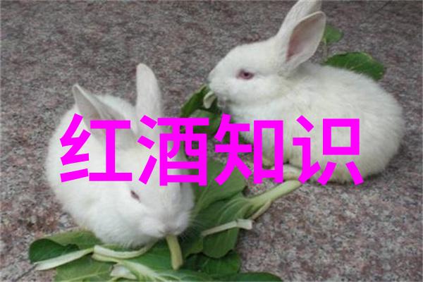 笑答宝典139个让你捧腹的问答题库