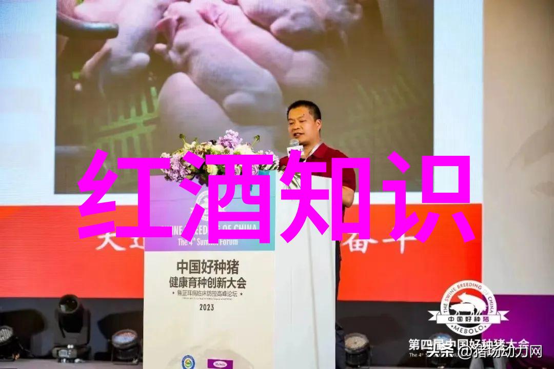 红船上的梦想戚继光抗倭英雄事迹