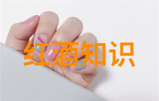 门多萨葡萄酒产区阿根廷高原中的葡萄酒王国