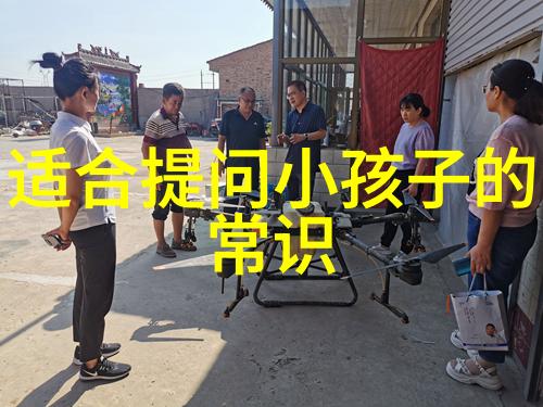除了波尔多和洛林还有哪些法国区域生产出高质量的赤霞珠葡萄制成的佳酿