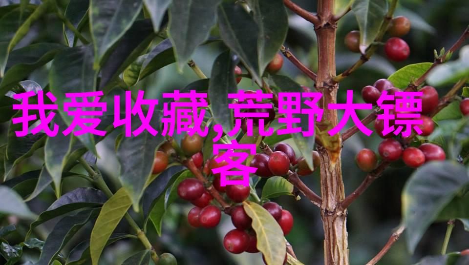 探秘奇幻庄园揭秘隐藏的庭院与神秘花园