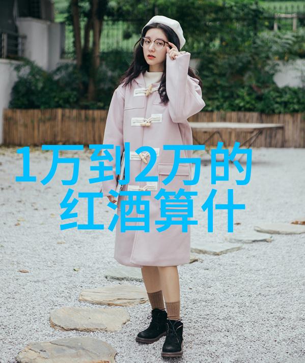 中华英杰录历史的足迹与梦想的征途