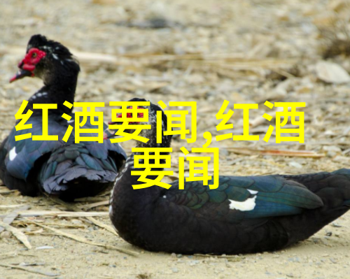 玫瑰花品种名录全集探秘