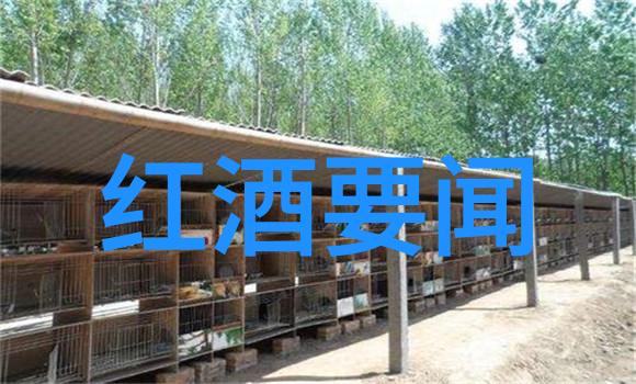 东北旅游自由行攻略探索东北美景体验当地文化