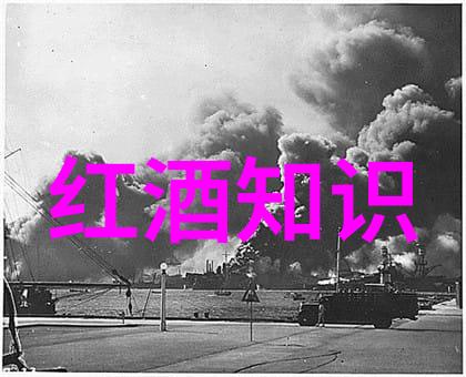 猫的品种和图片以及介绍-喵呜百态揭秘世界上最美的猫品种与精彩照片