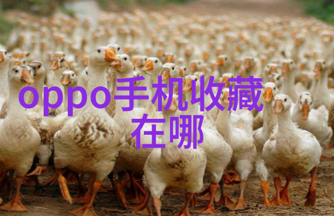股票指数解析揭秘市场晴雨表的内涵与功能