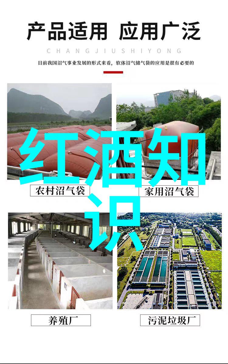 红酒酒款学解析葡萄酒的品种产区与酿造技艺