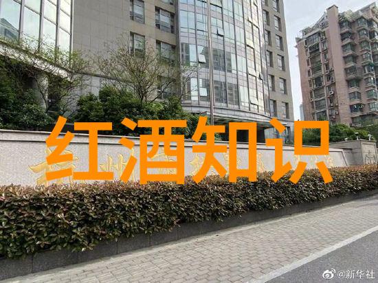 酒文化的精神内涵葡萄酒保质期误解外行人一看就懂了