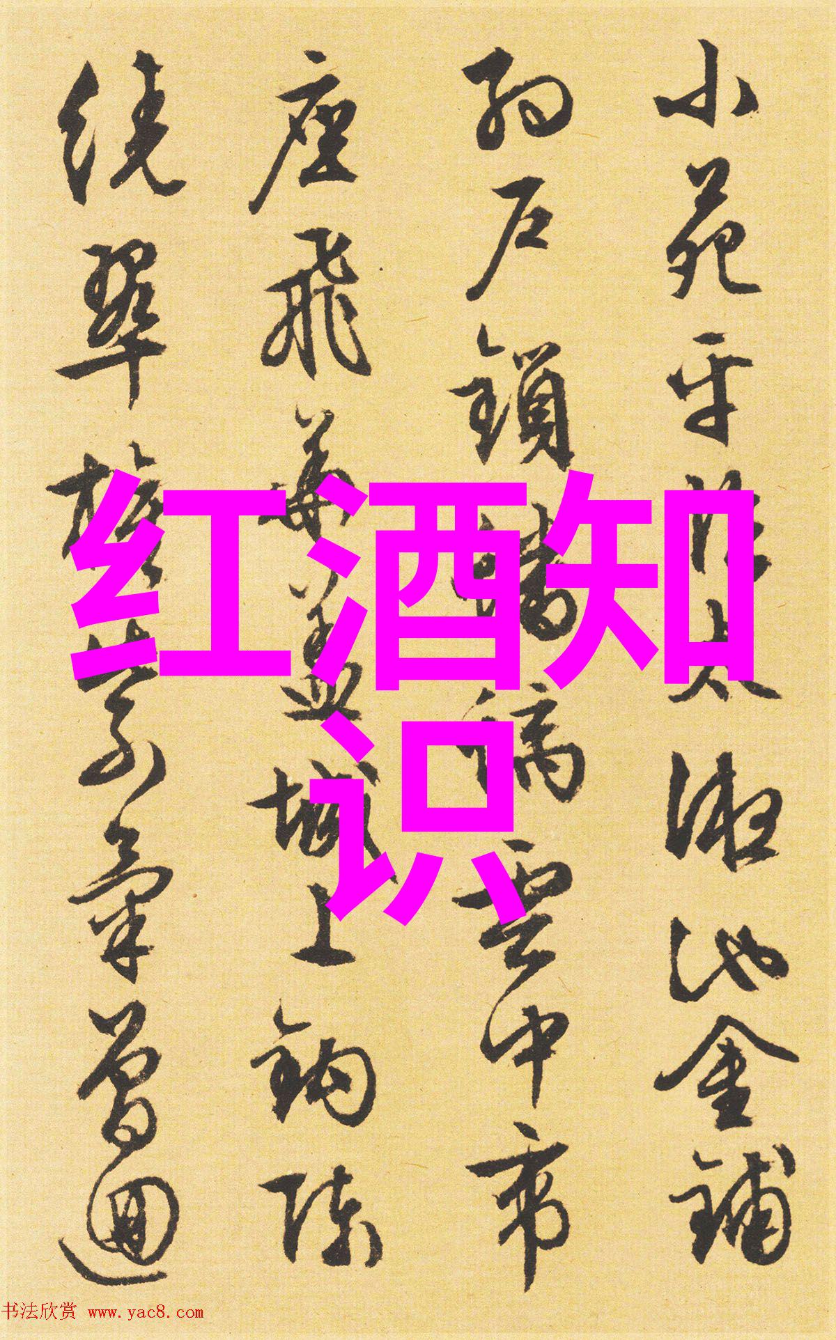 喵我的猫咪品种图片名字大全从阿拉斯加到缤纷波斯每一个名字都像抓住了它们的灵魂