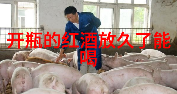 西安周边踏青美景探索秦岭华亭湖与古城墙的春色