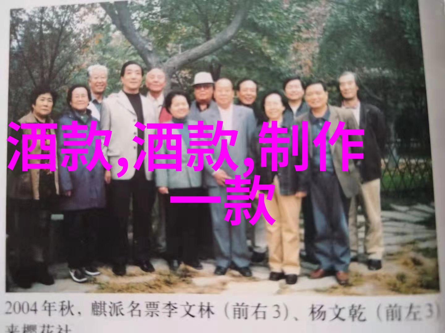 探索猫咪多样性各种品种的迷人形象