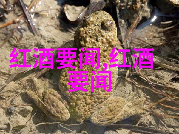 红酒的发源地和来历-从古老葡萄园到世界之巅探索红酒的诞生与传承
