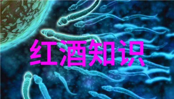 咖啡文化探秘卡布奇诺的意大利起源与全球传播历史