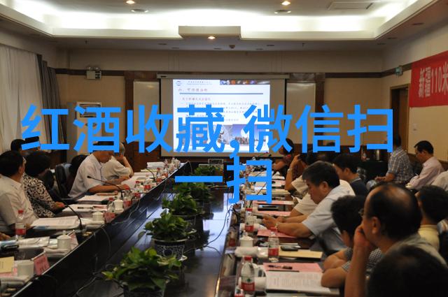 你知道法国有哪两个葡萄酒产地是闻名遐迩吗比尼亚卡萨斯德尔博斯克和卡萨布兰卡谷