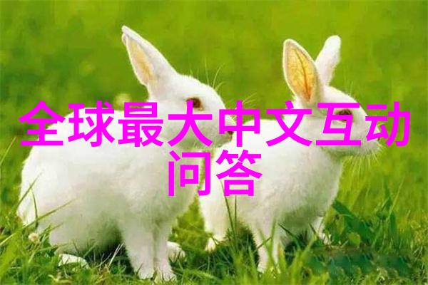 二期项目预计完成后将为居民提供哪些社区服务设施吗