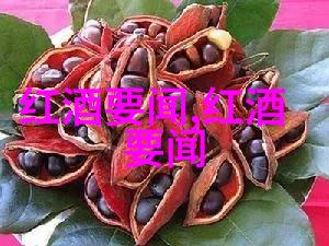 桃酒的制作过程