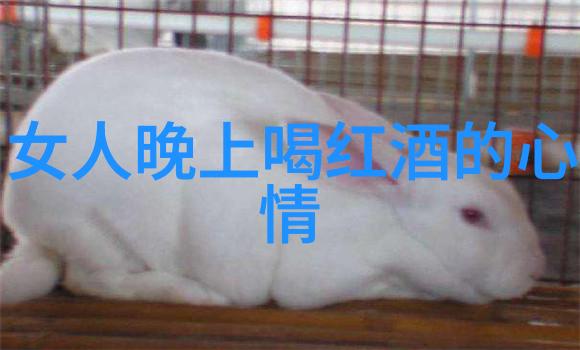 时代楷模人物素材中的中国中产阶级女性似乎在向阿玛罗奈的优雅姿态致敬追求一场属于自己风采的新生活