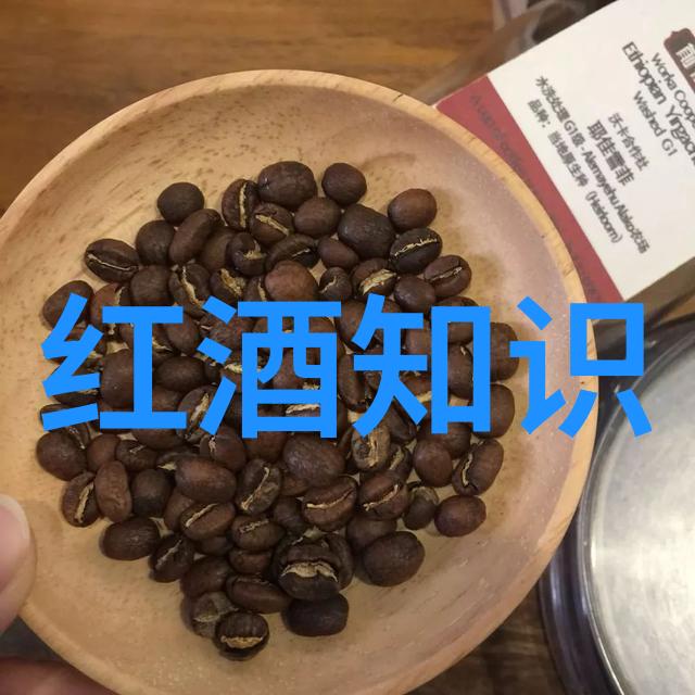 从初学者到专家提升自己在百度上的提问能力