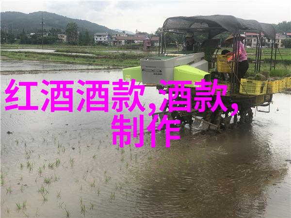 玫瑰花品种之美探索浪漫世界的每一朵奇迹