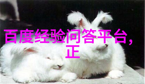 古董情缘寻宝者的乐园