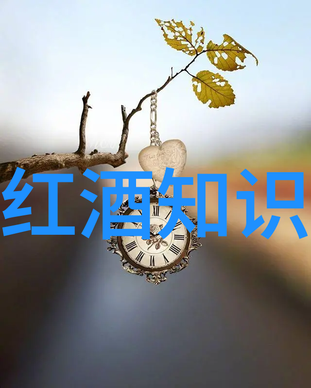 精彩展现高质量人物图片素材网站推荐汇总