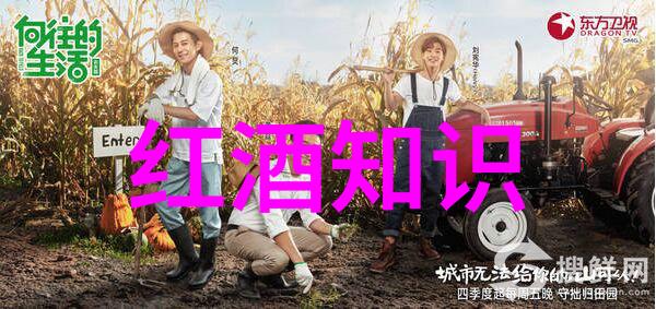 全球玫瑰花品种排行榜红色浪漫与香气盛宴