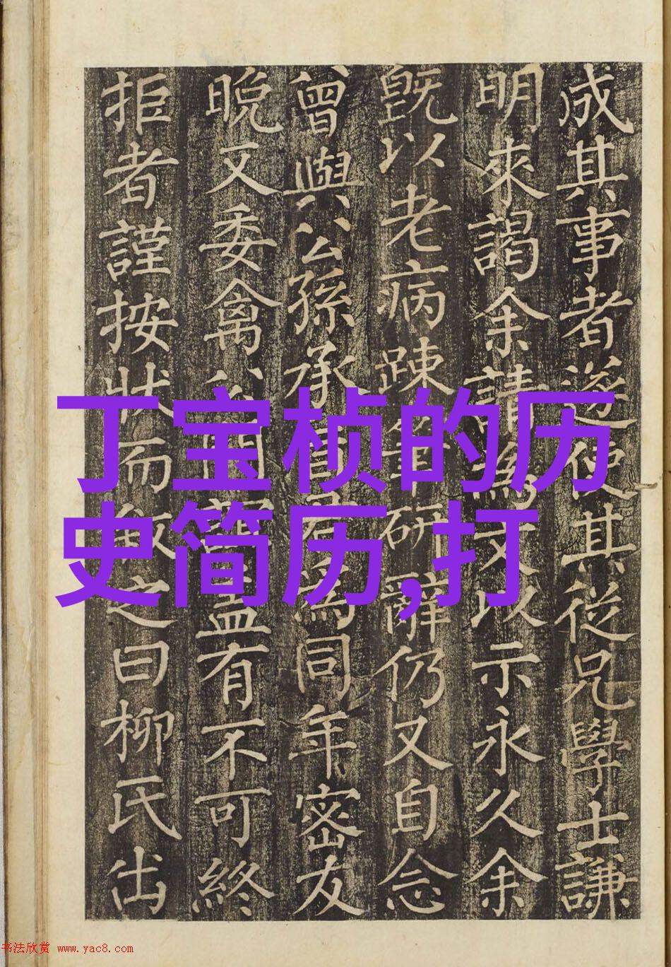 狸花猫与美短的区别解析权威指南