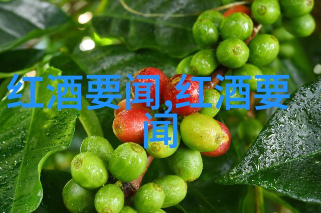 猫咪品种识别 - 猫咪世界揭秘各种颜色的耳朵与身影的秘密
