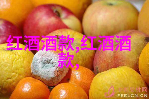 猫咪图库探究不同品种的独特外观与特征