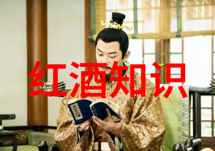 醉心红酒一路畅饮直至醉卧葡萄田中