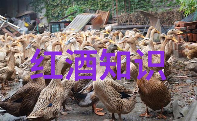 四大巨匠的智慧与笑谈