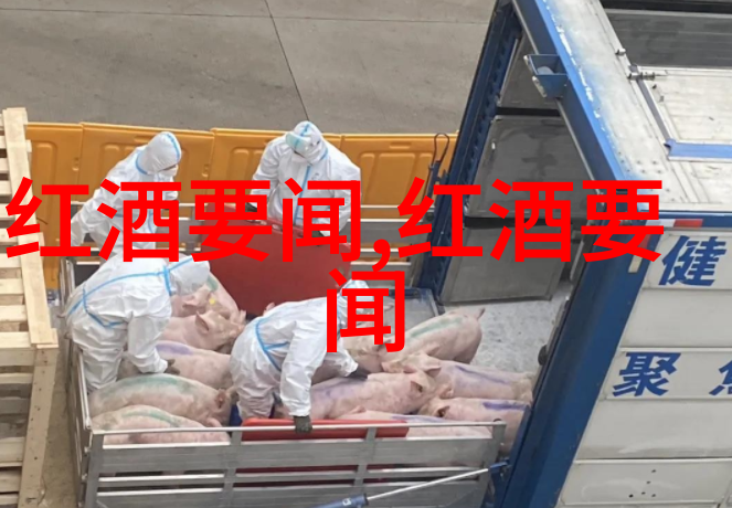 品种多样的宠物世界里你的手中到底拿着的是什么类型的小王子
