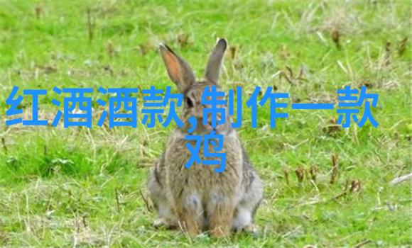 罗埃罗产区红酒与法国波尔多红酒价格对比物品中的贵族风范