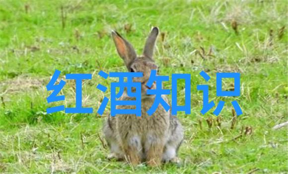 沪深两市哪只指数基金好选择合适的沪深两市指数基金投资策略