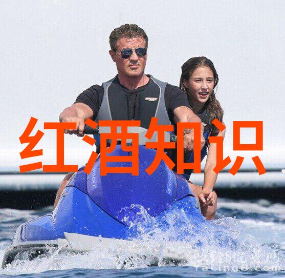 重温往昔历史记录恢复的艺术与实践