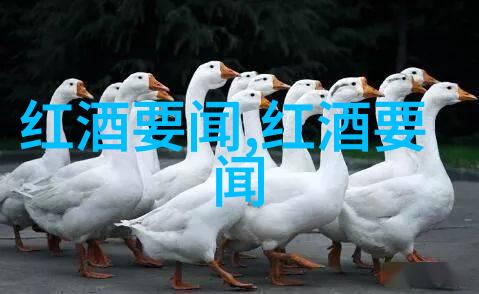 玫瑰花名称大全的Be Inclusive Hospitality绽放第一份影响报告书写着温柔而深远的