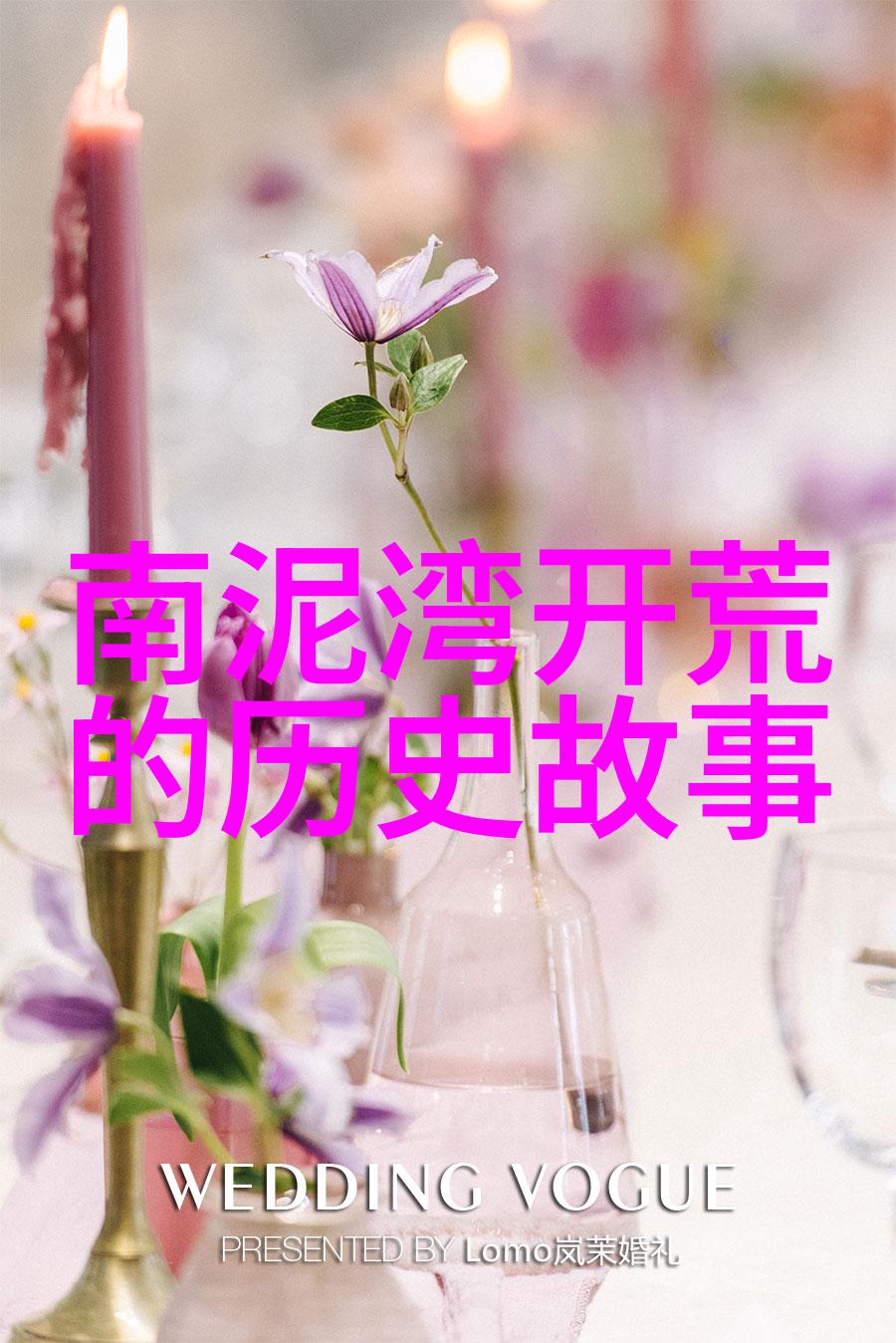 百度答主招募入口官网-智慧共享答主之路探索百度答主招募入口官网的魅力