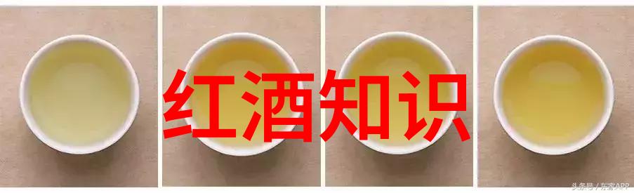 历史课堂上的探险中学历史教学园地的创意实践