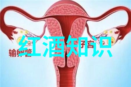 三国演义中的诸葛亮智谋与魏蜀吴的战争策略