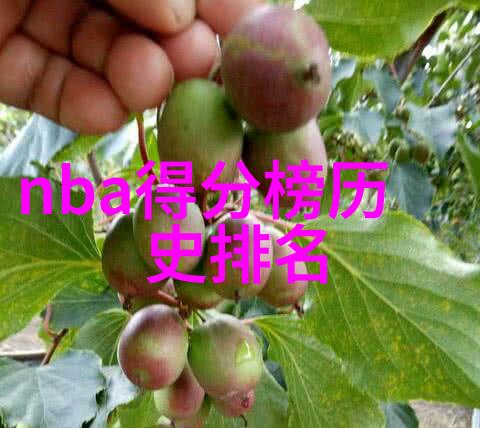 我爱收藏年度盛宴现场拍卖与丰收狂欢派对